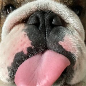 Meet your Posher, Bryan